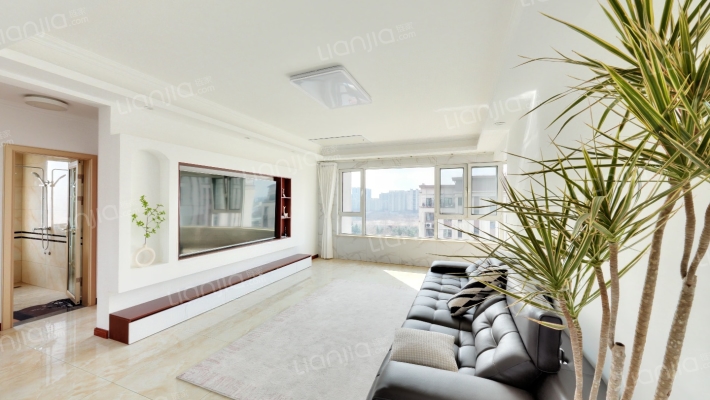 中央美地天玺二手房实景图