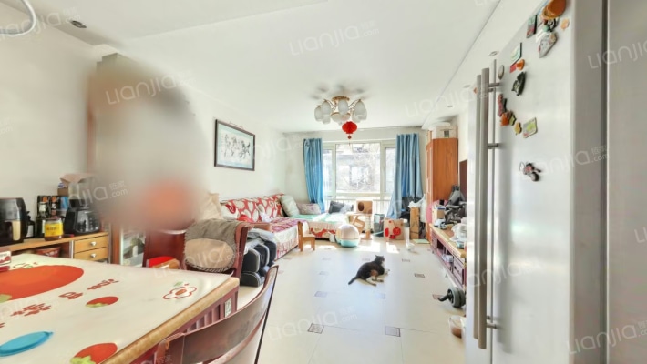 九和苑二手房实景图