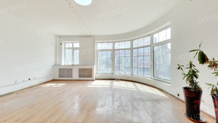 天润别墅二手房实景图