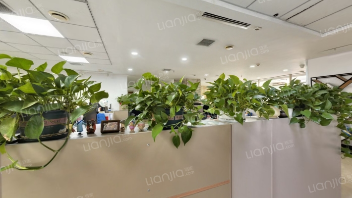 时代方舟二手房实景图