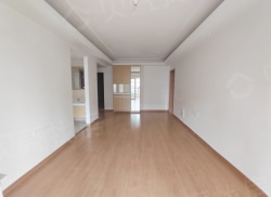 整租·金科·观天下 2室2厅 东南_金科·观天下租房