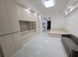 整租·千禧大厦 1室1厅 南_千禧大厦租房