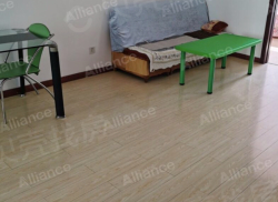 整租·昌鸿小区C区 3室1厅 南/北_昌鸿小区C区租房