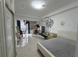 整租·新天地 1室1厅 南_新天地租房