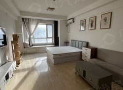 整租·万达广场 1室1厅 西_万达广场租房