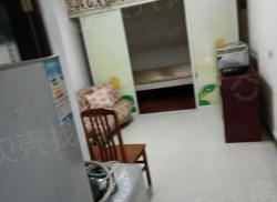 整租·白云小区 1室1厅 南_白云小区租房