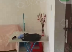 整租·藏龙福地 1室1厅 南_藏龙福地租房