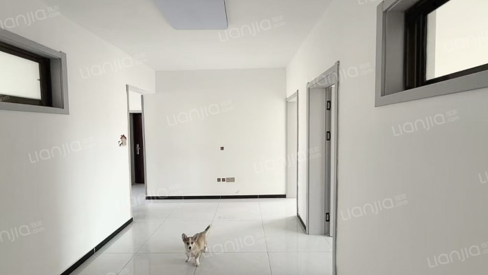 党校宿舍二手房实景图