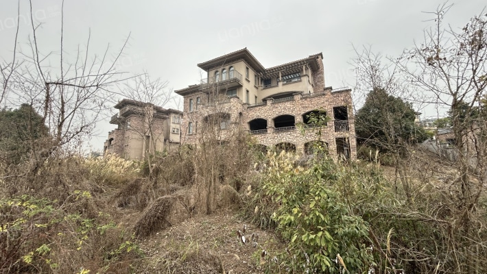 白晶谷7组团二手房实景图