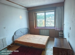 整租·桃铁社区 2室1厅 南/北_桃铁社区租房