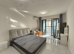 整租·丽丰凯旋门 1室1厅 东南_丽丰凯旋门租房