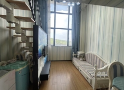 整租·汇金置地卡卡公寓 1室1厅 南_汇金置地卡卡公寓租房