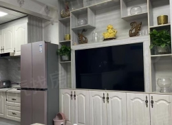 整租·兆信中心 1室1厅 东南_兆信中心租房