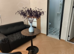 整租·楼下新村二区 1室1厅 南_楼下新村二区租房