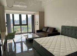 整租·新新广场 1室0厅 南_新新广场租房