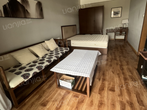 整租·青城山居 1室1厅 南