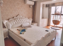 整租·巴黎春天 2室1厅 南_巴黎春天租房