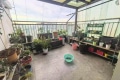 中央绿城 4室2厅 南