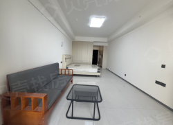 整租·天中上境三期 1室1厅 南_天中上境三期租房