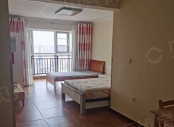 整租·王府广场 1室1厅 南_王府广场租房