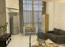 整租·盛世峰景 1室1厅 南_盛世峰景租房