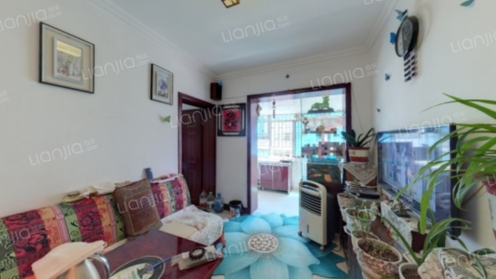 宅吉路335号二手房实景图