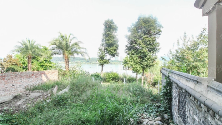 河边江景别墅，环境优美，传世经典，-花园