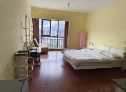 整租·艺海天成 1室1厅 南_艺海天成租房