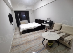 整租·万达CBD中心 1室1厅 东_万达CBD中心租房