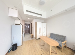 整租·招商依云华府 1室1厅 东_招商依云华府租房