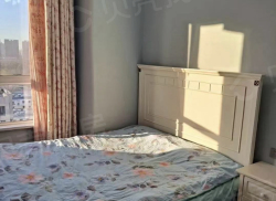 整租·盛世银座 1室1厅 南_盛世银座租房