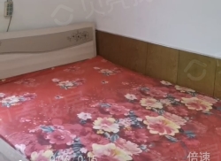 整租·纤维街 1室0厅 南/北_纤维街租房