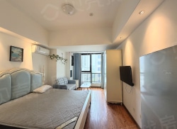 整租·万达晶座 1室1厅 南_万达晶座租房