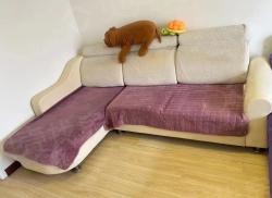 整租·六纬路学区青年广场小区 1室1厅 东_六纬路学区青年广场小区租房