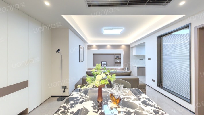 公园九号大都会二手房实景图