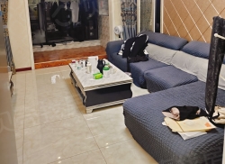 整租·绿地世纪城 3室1厅 南_绿地世纪城租房