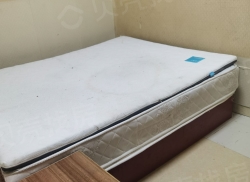 整租·青皮村 1室1厅 南/北_青皮村租房