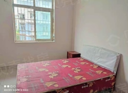 整租·鱼塘村 3室2厅 东_鱼塘村租房