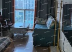 整租·万达广场B区 1室1厅 东南_万达广场B区租房