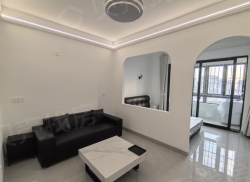 整租·霞东新苑 1室1厅 南_霞东新苑租房