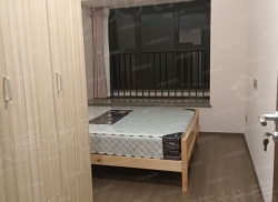 整租·向东岛 1室0厅 北_向东岛租房