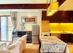 整租·神州半岛朝阳海岸 1室2厅 南_神州半岛朝阳海岸租房