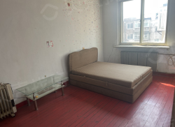 整租·十街二轻开发小区 1室1厅 南_十街二轻开发小区租房