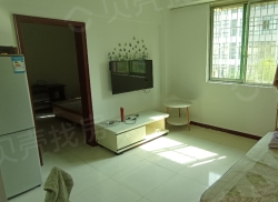 整租·青山巷9号 2室1厅 南_青山巷9号租房