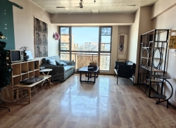 整租·海伦城市广场 0室1厅 东南_海伦城市广场租房