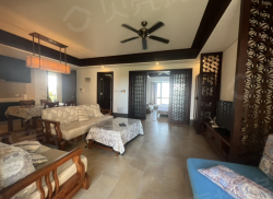 整租·神州半岛朝阳海岸 1室1厅 南_神州半岛朝阳海岸租房