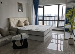 整租·龙湖光年 1室0厅 南/北_龙湖光年租房