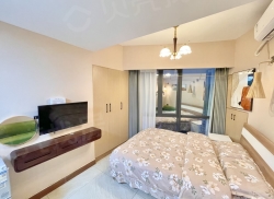 整租·凤凰国际城 1室1厅 东_凤凰国际城租房