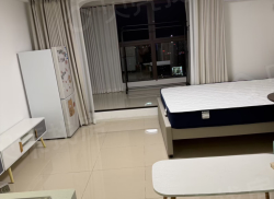 整租·中环广场 1室1厅 南_中环广场租房