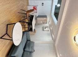 整租·星光商务广场 2室1厅 LOFT 东南_星光商务广场租房